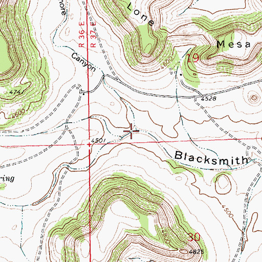 Topographic Map of Ellmore Canyon, NM