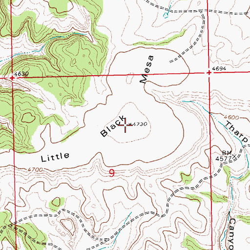 Topographic Map of Little Black Mesa, CO