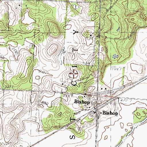 Topographic Map of Bishop Cemetery, IL
