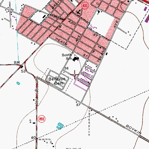 Topographic Map of Algodon Colonia, TX