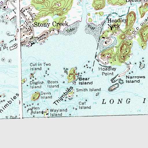 Topographic Map of Bear Island, CT