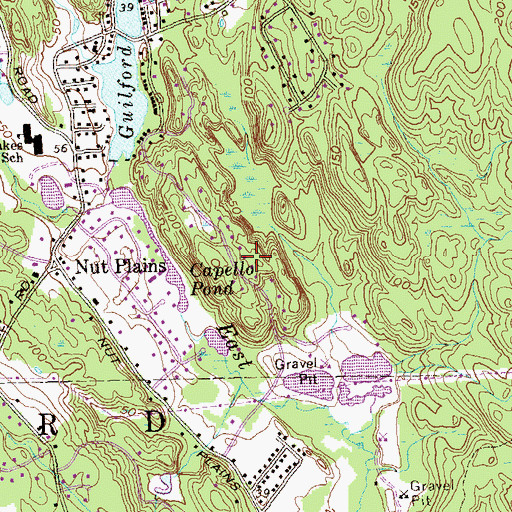 Topographic Map of Capello Pond, CT