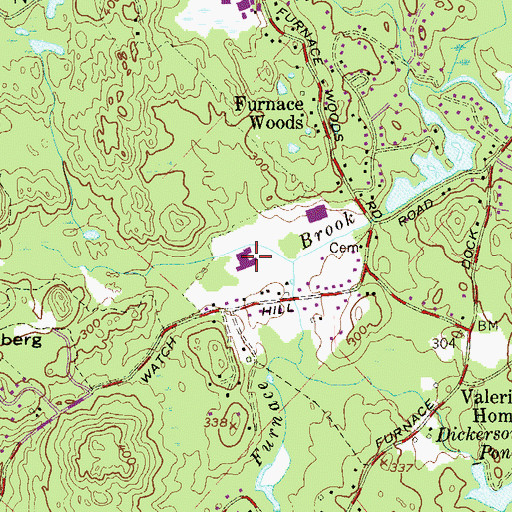 Topographic Map of Furnace Woods Elementary School, NY