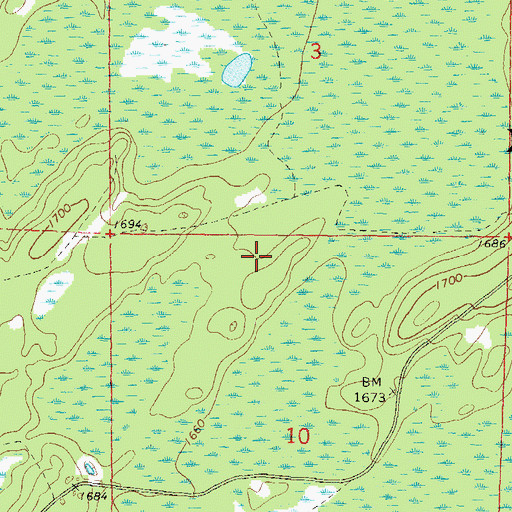 Topographic Map of Giant White Pine Grove State Natural Area, WI