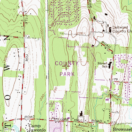 Topographic Map of Kennedy - Dells County Park, NY