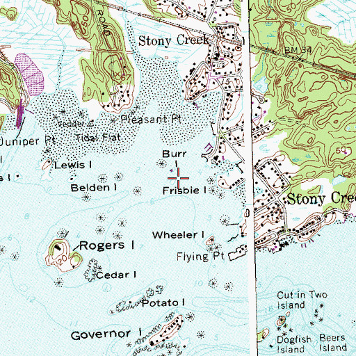 Topographic Map of Frisbie Island, CT