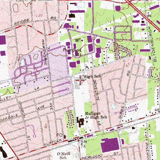 Topographic Map of Ralph Reed School, NY