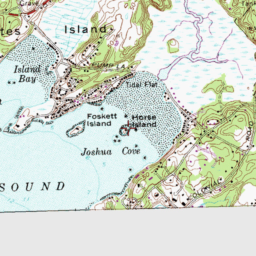Topographic Map of Horse Island, CT