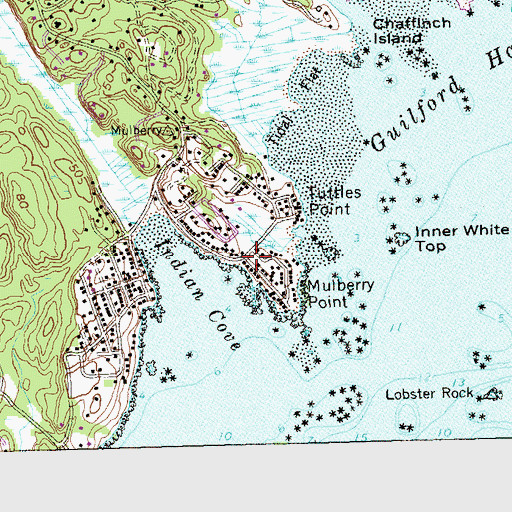 Topographic Map of Indian Cove, CT