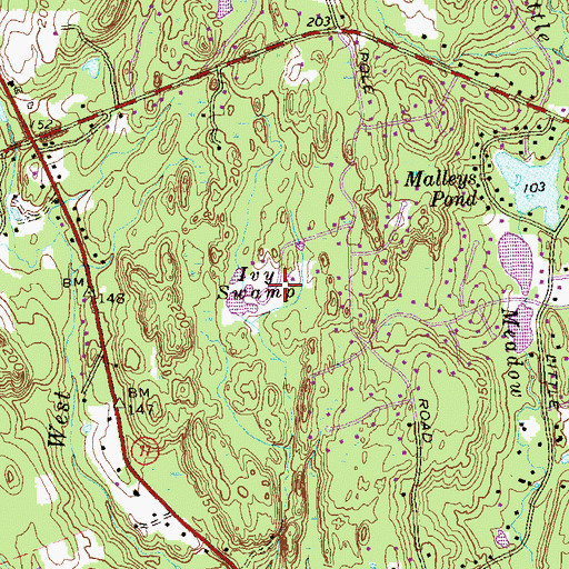 Topographic Map of Ivy Swamp, CT