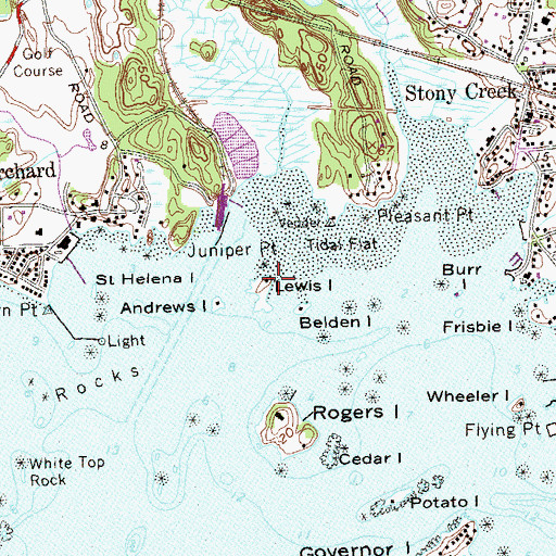 Topographic Map of Lewis Island, CT