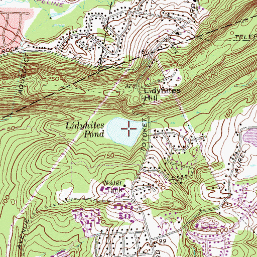 Topographic Map of Lidyhites Pond, CT