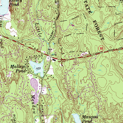 Topographic Map of Malleys Pond, CT