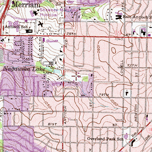 Topographic Map of Young's Pool, KS