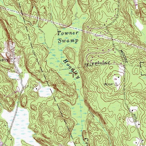 Topographic Map of Towner Swamp, CT