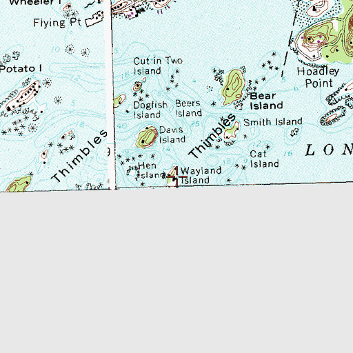 Topographic Map of Wayland Island, CT