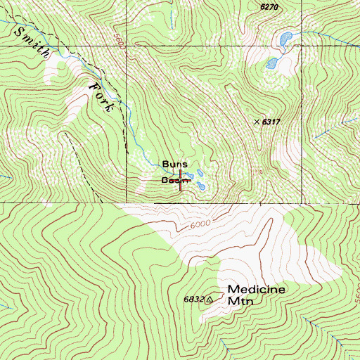Topographic Map of Buns Basin, CA