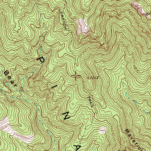 Topographic Map of Bear Canyon Two hundred ninety-nine Trail, AZ