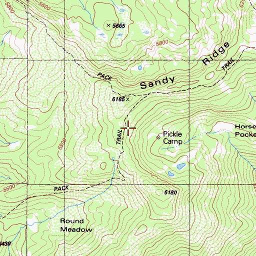 Topographic Map of Pickle Camp, CA