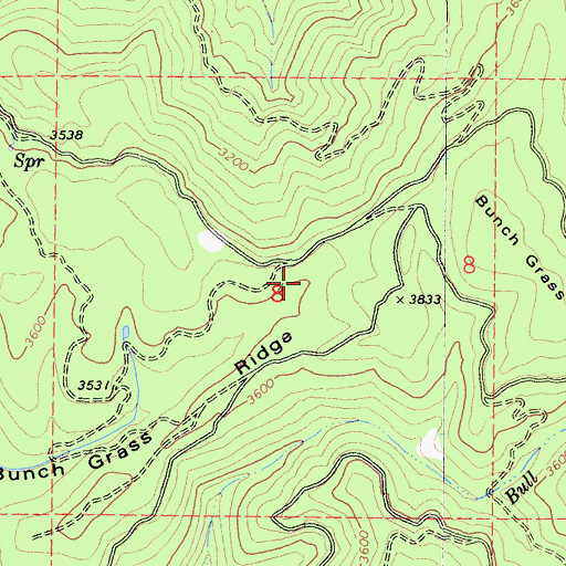 Topographic Map of Bunch Grass Ridge, CA