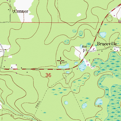 Topographic Map of Old Grahamsville Cemetery, FL
