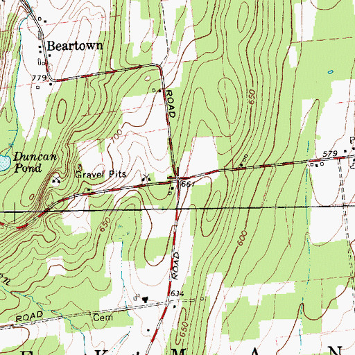 Topographic Map of Beartown School (historical), NY