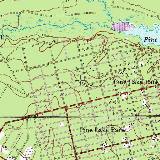 Topographic Map of Leisure Village West-Pine Lake Park Census Designated Place (historical), NJ