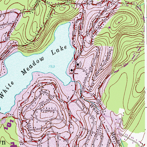 Topographic Map of White Meadow Lake Census Designated Place, NJ