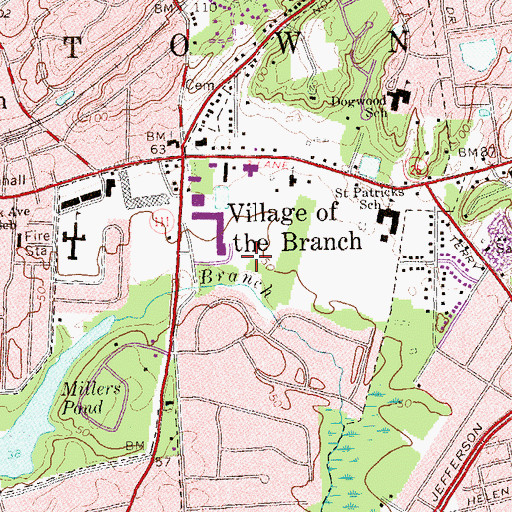 Topographic Map of Village of Village of the Branch, NY