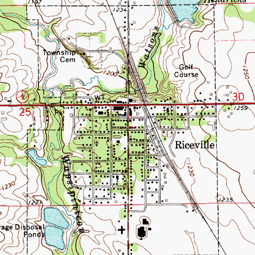 Topographic Map of City of Riceville, IA