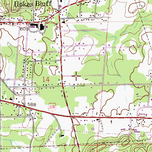 Topographic Map of City of Hokes Bluff, AL