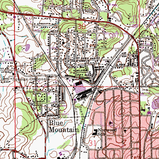 Topographic Map of Town of Blue Mountain (historical), AL