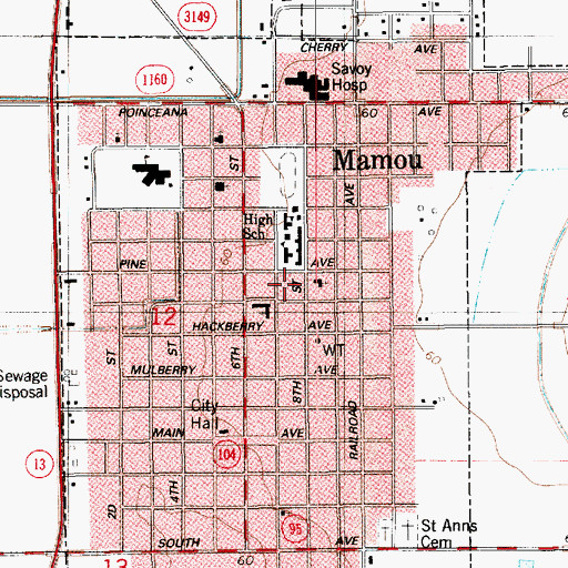 Topographic Map of Town of Mamou, LA
