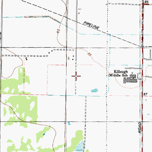 Topographic Map of Beechnut Crossing, TX