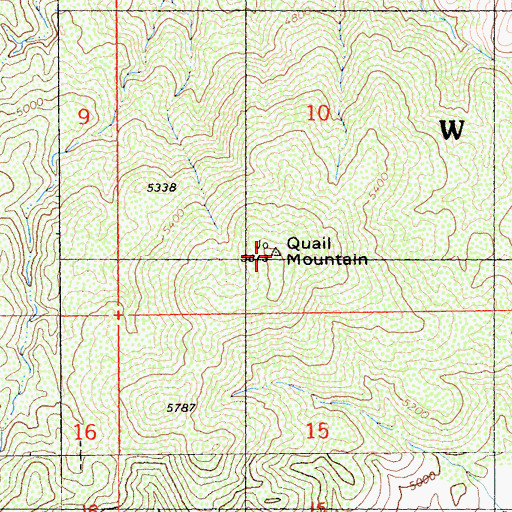 Topographic Map of Quail Mountain, CA