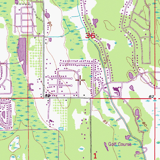 Topographic Map of Grand Avenue Primary Learning Center, FL