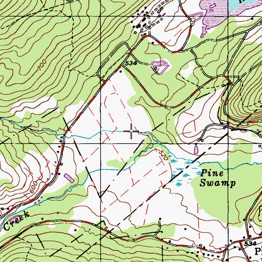 Topographic Map of Pine Swamp Natural Area, PA