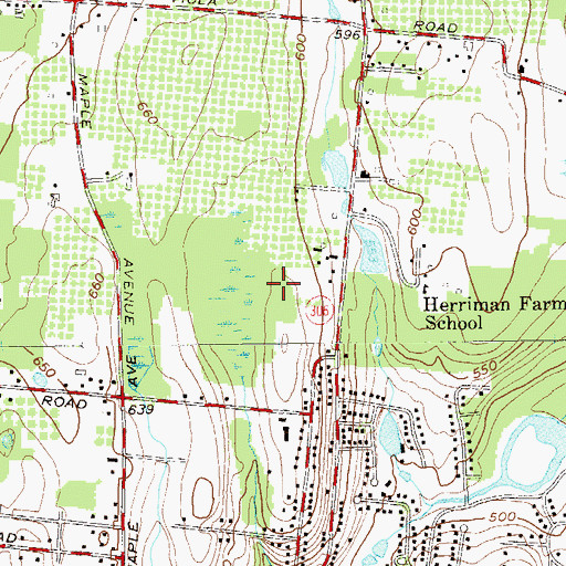 Topographic Map of Bnos Israel Girls High School, NY