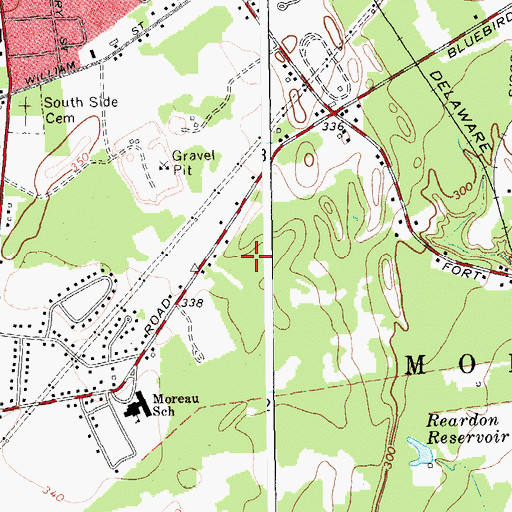 Topographic Map of Bluebird Trailer Park, NY