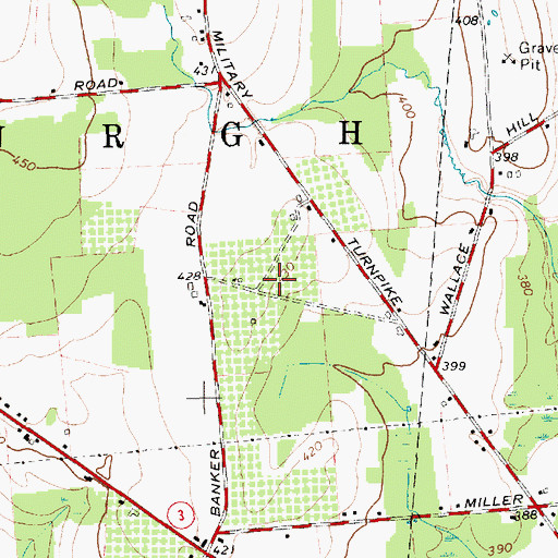 Topographic Map of Everett Orchards, NY