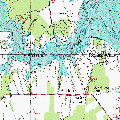Topographic Map of Nicholsons Marina, VA