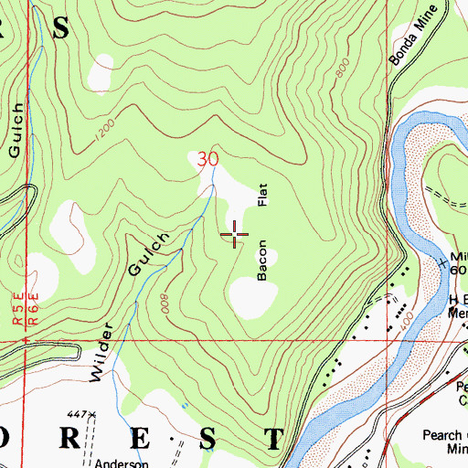 Topographic Map of Bacon Flat, CA