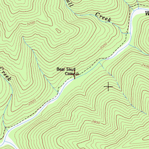 Topographic Map of Bear Skull Camp, CA
