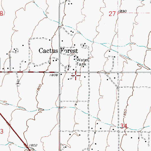 Topographic Map of Cactus Forest Census Designated Place, AZ