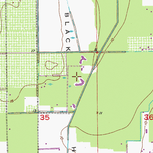 Topographic Map of Black Hammock Census Designated Place, FL