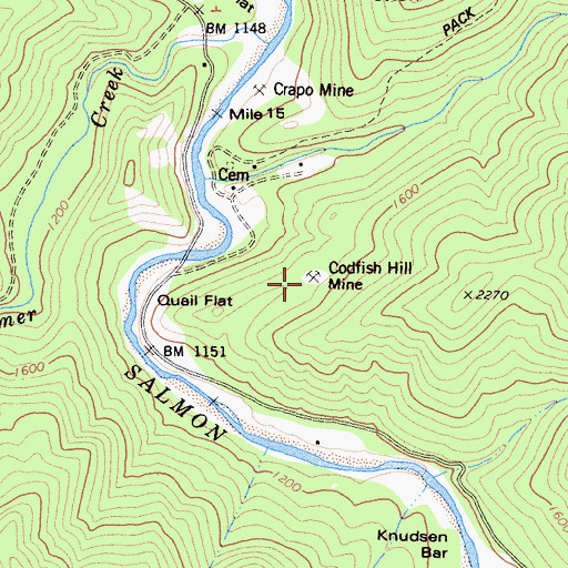 Topographic Map of Codfish Hill Mine, CA