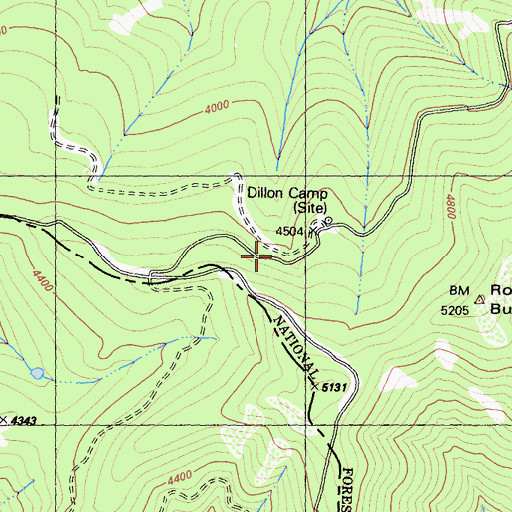 Topographic Map of Dillon Camp, CA