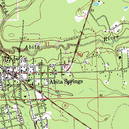Topographic Map of Louisiana Church, LA