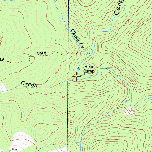 Topographic Map of Head Camp, CA