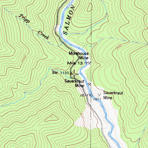 Topographic Map of Lewis Creek, CA